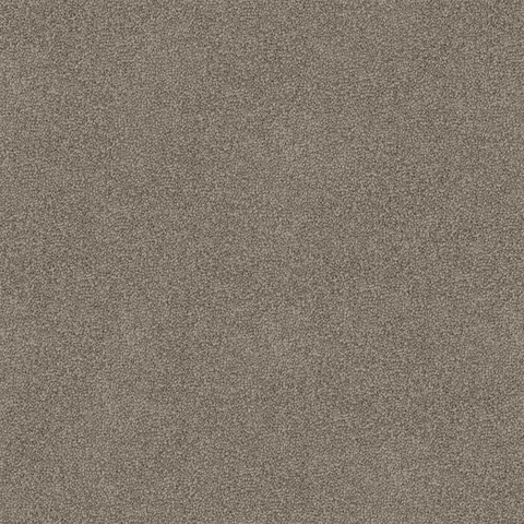 Haze carpet swatch